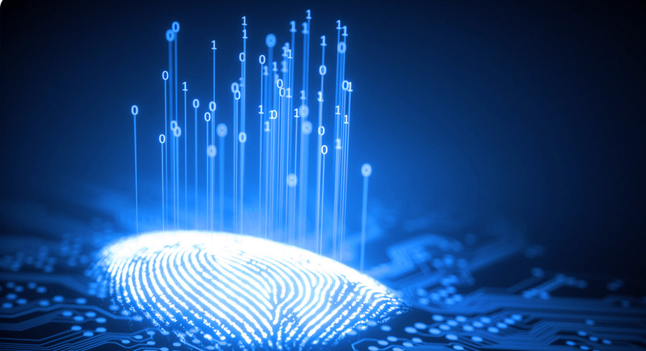 九洲国际官网(中国区)股份有限公司